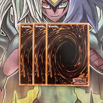 FIGA-EN017 x3 Brotherhood of the Fire Fist - Peacock Secret Excellent Yugioh (back)
