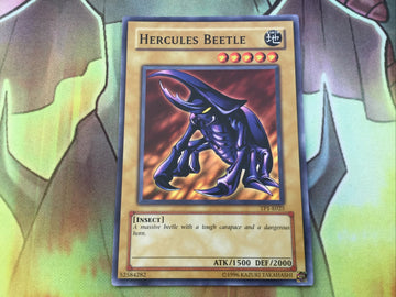 TP1-E025 Hercules Beetle Common (NM) Yugioh