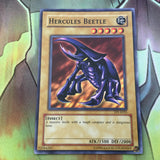 TP1-E025 Hercules Beetle Common (NM) Yugioh