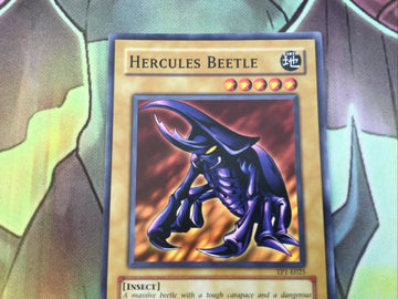 TP1-E025 Hercules Beetle Common (NM) Yugioh (back)