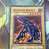 TP1-E025 Hercules Beetle Common (NM) Yugioh
