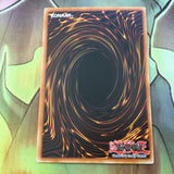 TP1-E025 Hercules Beetle Common (NM) Yugioh