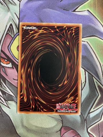 DANE-EN041 Dillingerous Dragon Common 1st Edition NM Yugioh Card (back)