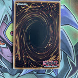 LCYW-EN249 Levia-Dragon - Daedalus Secret Rare UNL Edition NM Yugioh Card