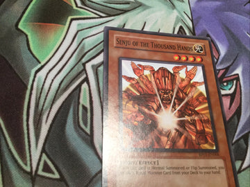 RP01/DB1/DLG1 Senju of the Thousand Hands (MINT/NM) Common Yugioh! (back)