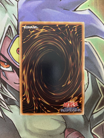 TP04-JP002 Red-Eyes Meteor Dragon Normal Parallel  NM Yugioh Card (back)