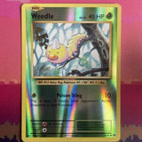 Pokemon Card Weedle Evolutions Reverse Holo Common 5/108 Near Mint
