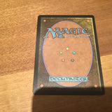 Canyon Slough Foil - Amonkhet Excellent Magic MTG