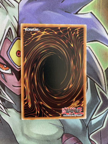 BLVO-EN001 Armed Dragon Thunder LV10 Secret Rare 1st Edition NM Yugioh Card (back)