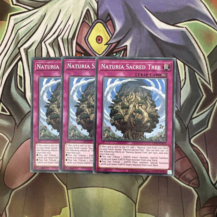 OP20-EN025 x3 Naturia Sacred Tree Common Excellent Condition Yugioh