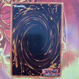 LOB-E063 YuGiOh Terra the Terrible 1st Edition Yugioh card