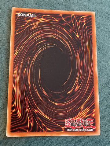 Exodia, the Legendary Defender - YuGiOh - Prismatic Secret Rare - Mint Card! (back)