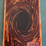Exodia, the Legendary Defender - YuGiOh - Prismatic Secret Rare - Mint Card!