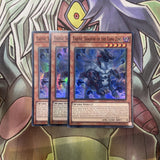 NECH-EN031 Taotie, Shadow Of The Yang Zing Super x3 Excellent Condition Yugioh