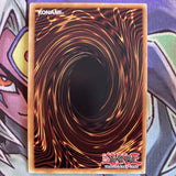 PRIO-EN029 Pilica, Descendant Of Gusto Super Rare UNL Edition NM Yugioh Card