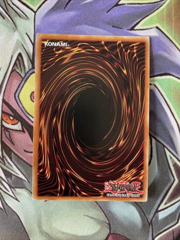 BLLR-EN073 Raidraptor - Satellite Cannon Falcon Ultra Rare 1st Edition NM Yugioh (back)