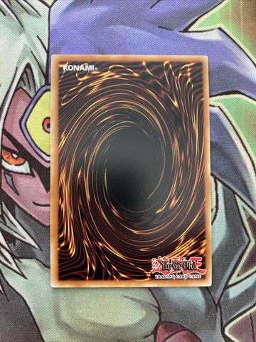 MP15-EN108 Magical Spring Secret Rare 1st Edition NM Yugioh (back)