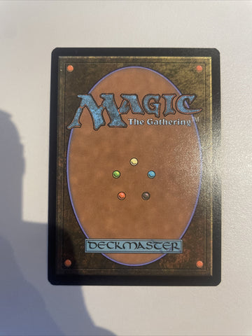 Wilson, Refined Grizzly - SHOWCASE FOIL Battle for Baldur's Gate Excellent MTG (back)