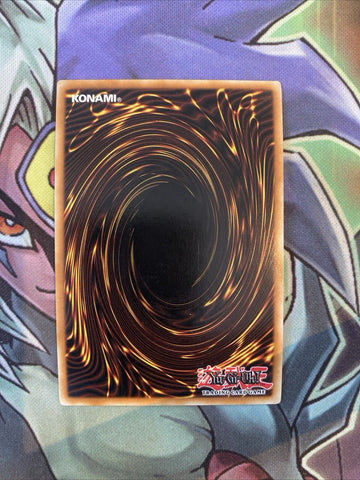 LC5D-EN135 Black-Winged Dragon Common 1st Edition NM Yugioh Card (back)