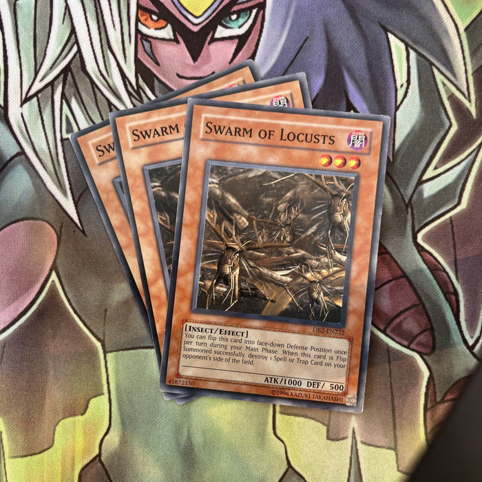DB2-EN222 x3 Swarm of Locusts Common Excellent Condition Yugioh