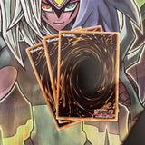 DB2-EN222 x3 Swarm of Locusts Common Excellent Condition Yugioh
