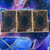 MP15-EN143 x3 Fluffal Rabbit Yugioh Playset