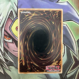 WIRA-EN017 Raidraptor - Fuzzy Lanius Common 1st Edition NM Yugioh Card