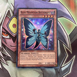 NUMH-EN012 Blue Mountain Butterspy Super Rare 1st Edition NM Yugioh Card