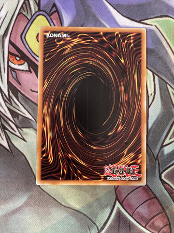 DRLG-IT004 Dark Magician Girl The Dragon Knight ITALIAN Secret 1st Ed NM Yugioh (back)