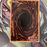 DRLG-IT004 Dark Magician Girl The Dragon Knight ITALIAN Secret 1st Ed NM Yugioh