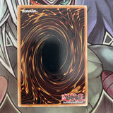 DLG1-EN020 Right Arm Of The Forbidden One Common UNL Edition NM Yugioh