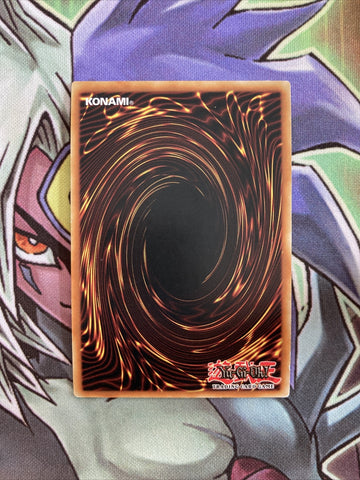AP08-EN009 Spiritual Beast Rampengu Super Rare UNL Edition NM Yugioh Card (back)