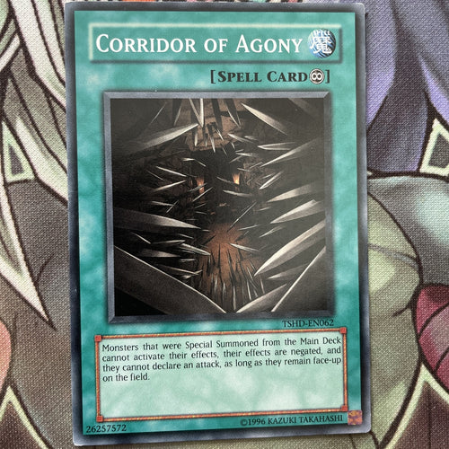 TSHD-EN062 Corridor Of Agony Common UNL Edition NM Yugioh Card