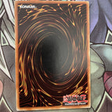 TSHD-EN062 Corridor Of Agony Common UNL Edition NM Yugioh Card