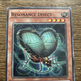 DUEA-EN039 Resonance Insect Common 1st Edition Mint Yugioh! Card