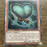 DUEA-EN039 Resonance Insect Common 1st Edition Mint Yugioh! Card