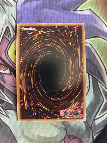 OP17-IT007 Resonance Insect Super Rare ITALIAN Unl Edition NM Yugioh Card (back)