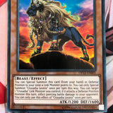 OP12-EN005 Crusadia Leonis Super Rare Mint Condition OTS 12 Yugioh