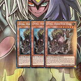 DASA-EN021 x3 Dyna, Hero Fur Hire Secret Rare Excellent Condition Yugioh