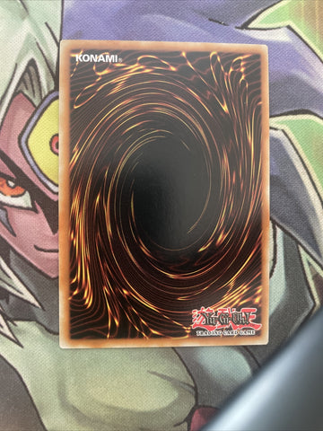 EGO1-EN011 Simple-Nimble Mega Hamster Common 1st Edition NM Yugioh Card (back)