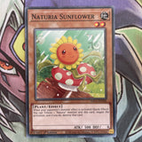 HAC1-EN102 Naturia Sunflower Common 1st Edition NM Yugioh Card