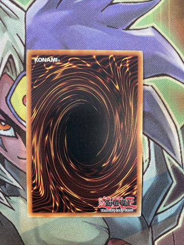 LED2-EN022 Ojamassimilation Rare 1st Edition NM Yugioh Card (back)
