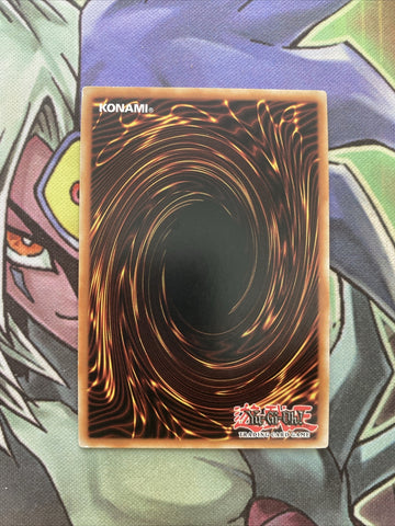 BLLR-EN025 Destiny HERO - Dusktopia Secret Rare Spanish 1st Ed NM Yugioh Card (back)
