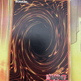 DRL2-EN003 Doom Virus Dragon - 1st Edition - Secret - Yugioh