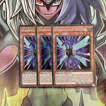 BLRR-EN041 x3 Hibernation Dragon Secret Rare Excellent Condition Yugioh
