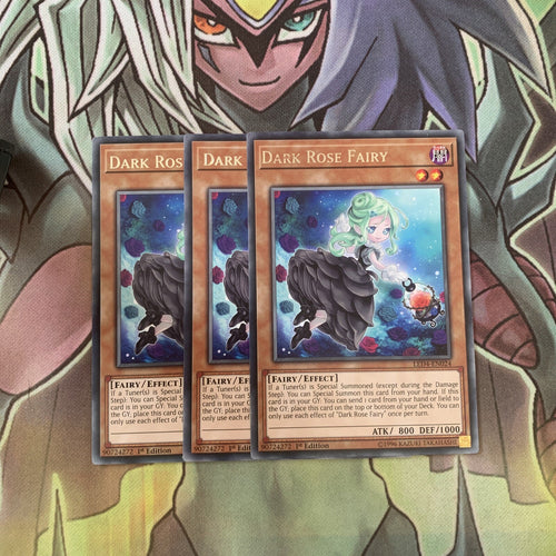 LED4-EN024 x3 Dark Rose Fairy Rare Excellent Condition Yugioh