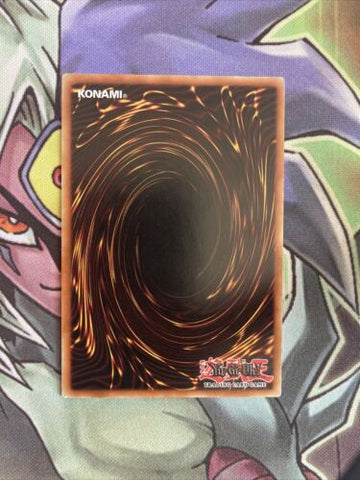 TSHD-EN014 Infernity Beetle Rare Unlimited Edition NM Yugioh Card (back)