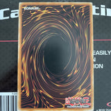 CDIP-EN057 Accumulated Fortune Common 1st edition NM Condition Yugioh Card
