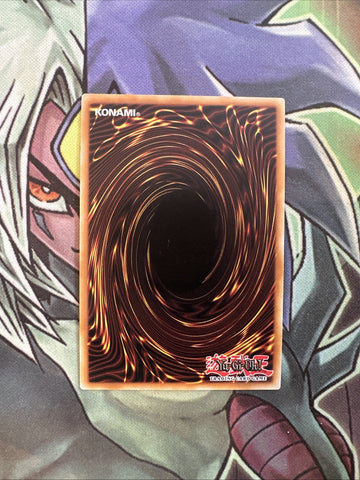 PGLD-EN058 Reinforcement Of The Army Gold Rare 1st Edition NM Yugioh Card (back)