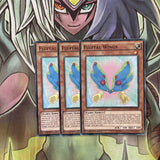 DOCS-EN009 x3 Fluffal Wings Common Excellent Condition Yugioh